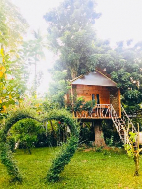 Гостиница Phu Quoc Sen Lodge Bungalow Village  Дуонг-Донг
